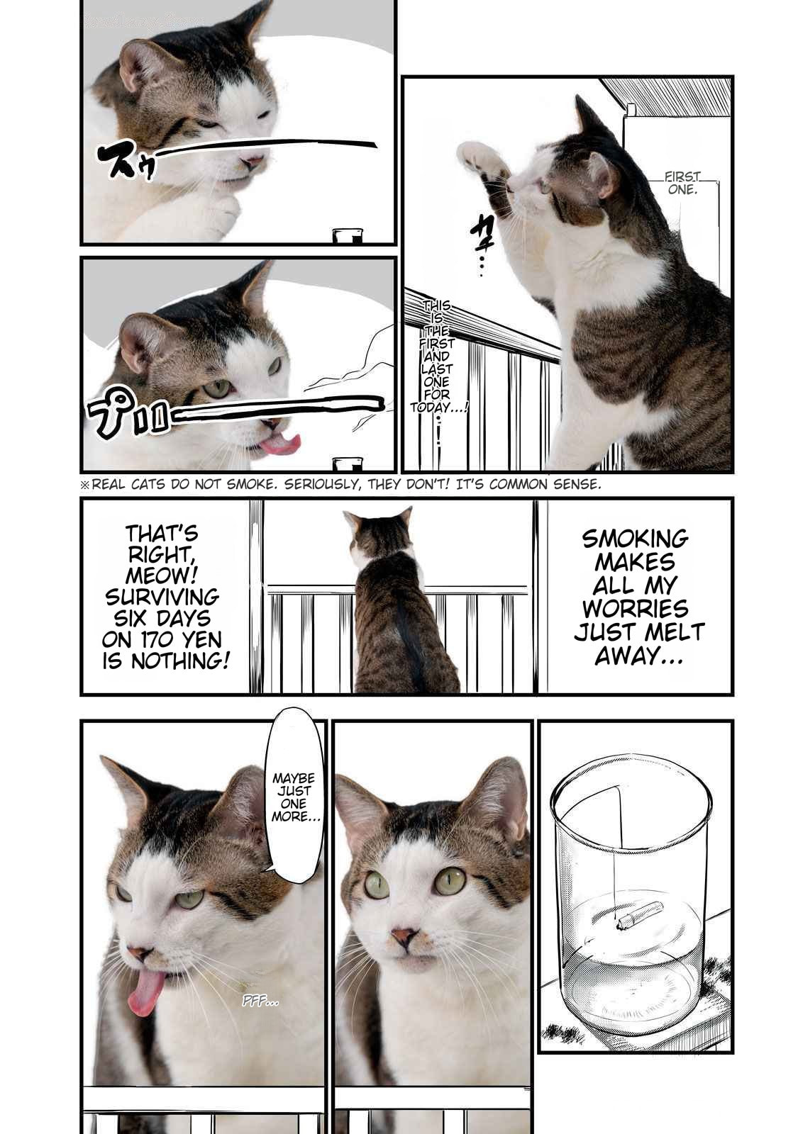 Chainsmoker Cat Chapter 141.1 page 2 - 