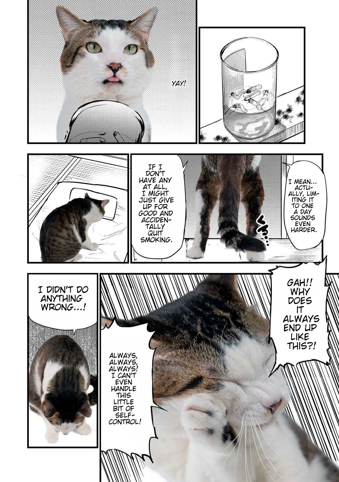 Chainsmoker Cat Chapter 141.1 page 3 - 