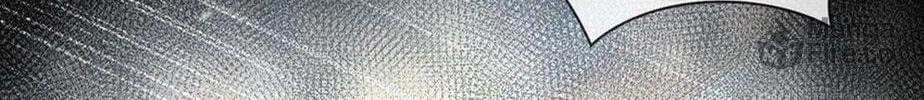 Chasing the Wave Chapter 26 page 40 - 