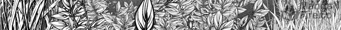 Cheat Mode Farming in Another World Chapter 2 page 70 - 