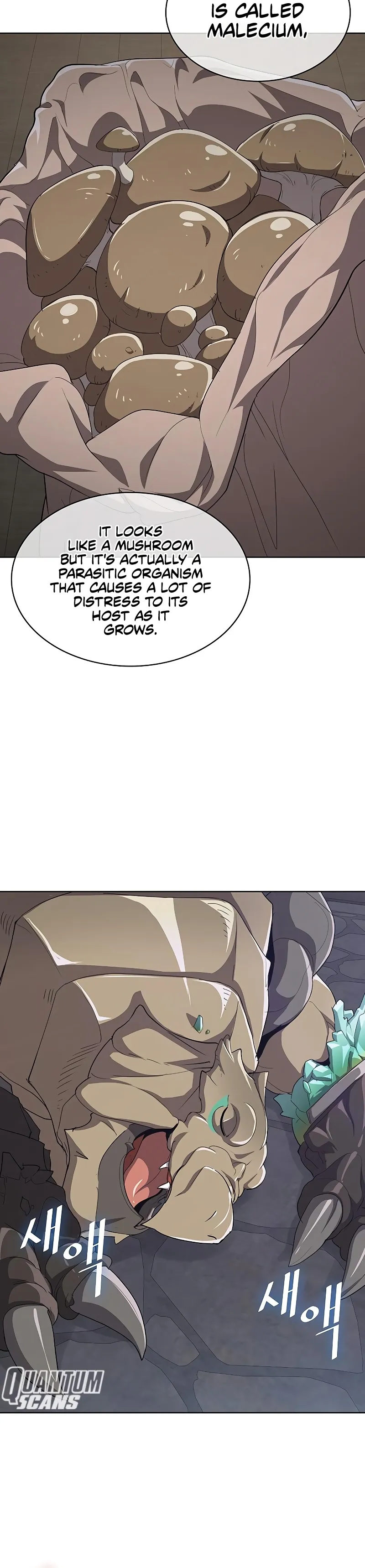 Chef in Another World Chapter 10 page 20 - 