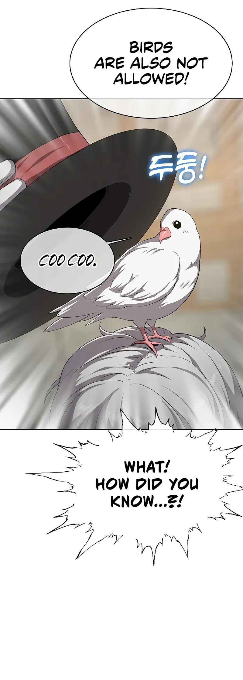 Chef in Another World Chapter 32 page 64 - 