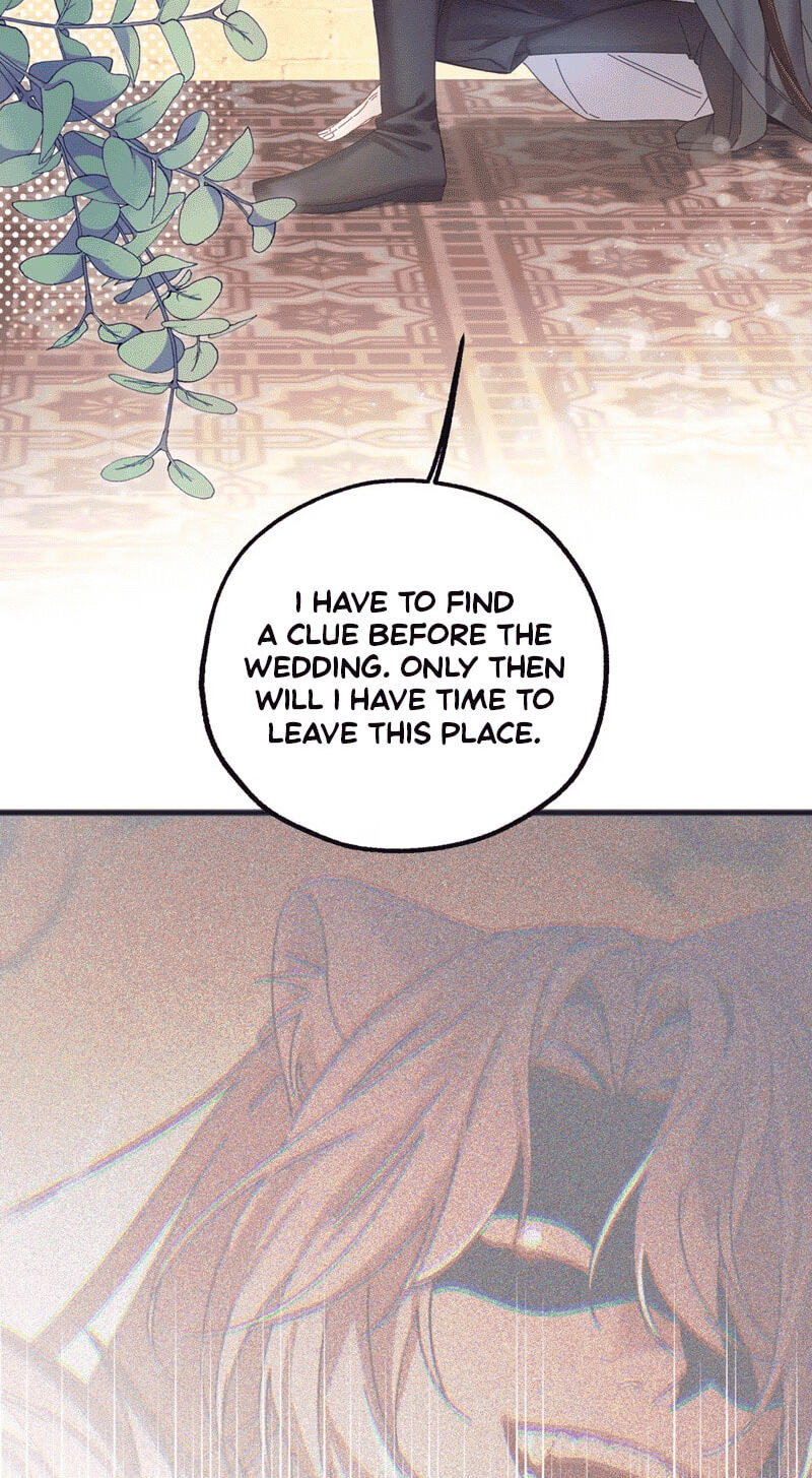 Chéngwéi Bàojūn de Tìjià Xīnniáng Chapter 2 page 28 - 