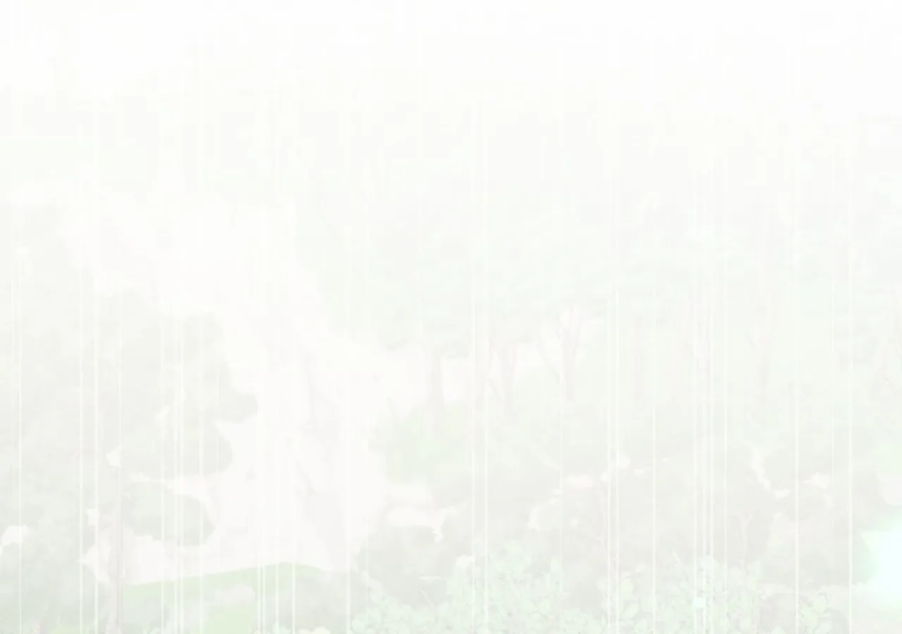 Cheonhwa Archive