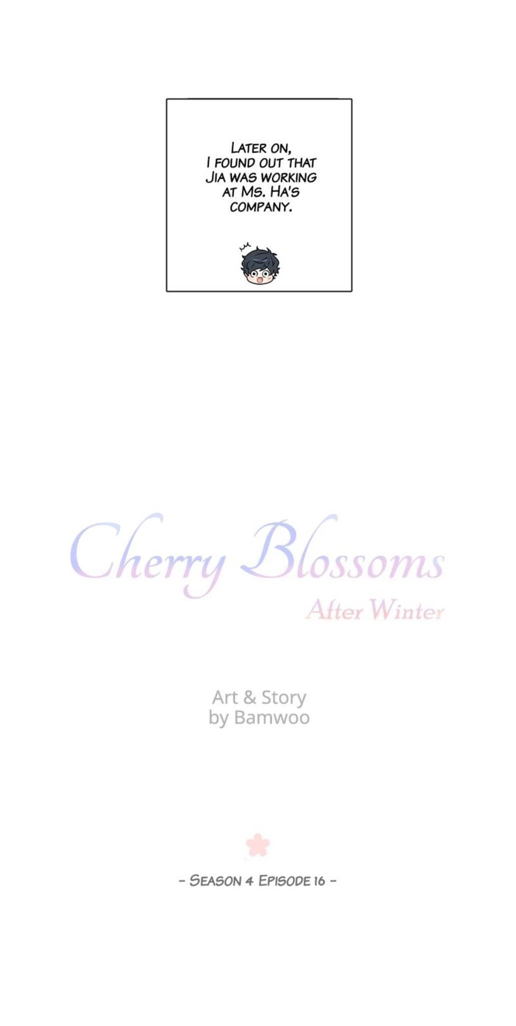 Cherry Blossoms After Winter Chapter 153 page 13 - 
