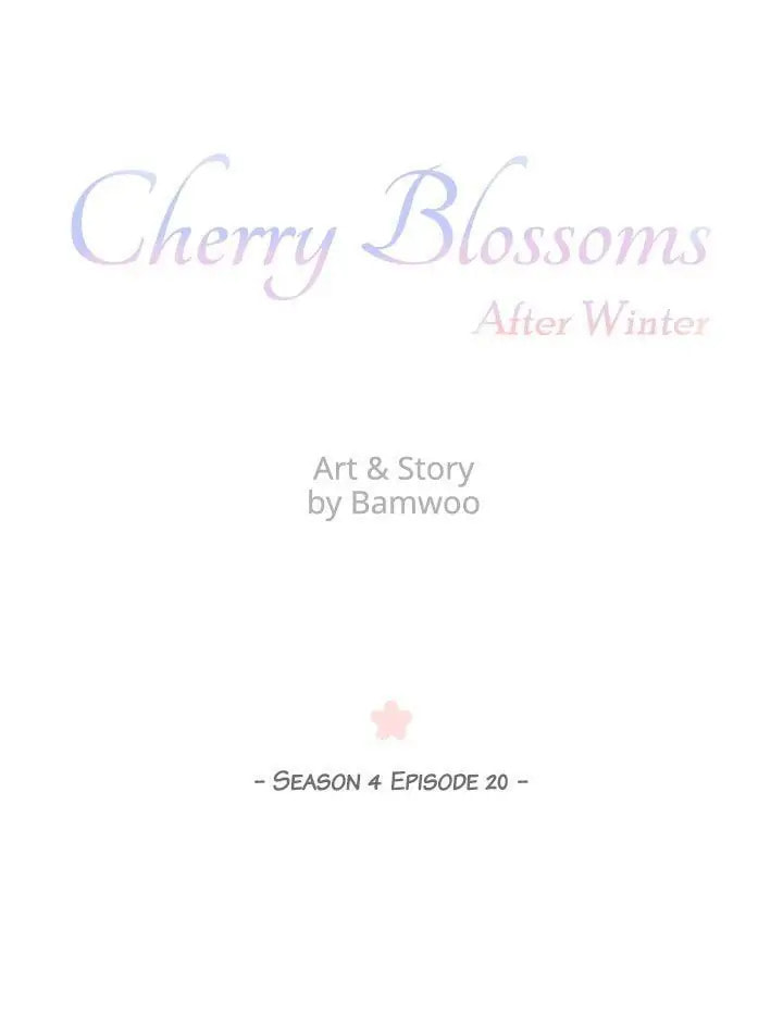 Cherry Blossoms After Winter Chapter 157 page 2 - 