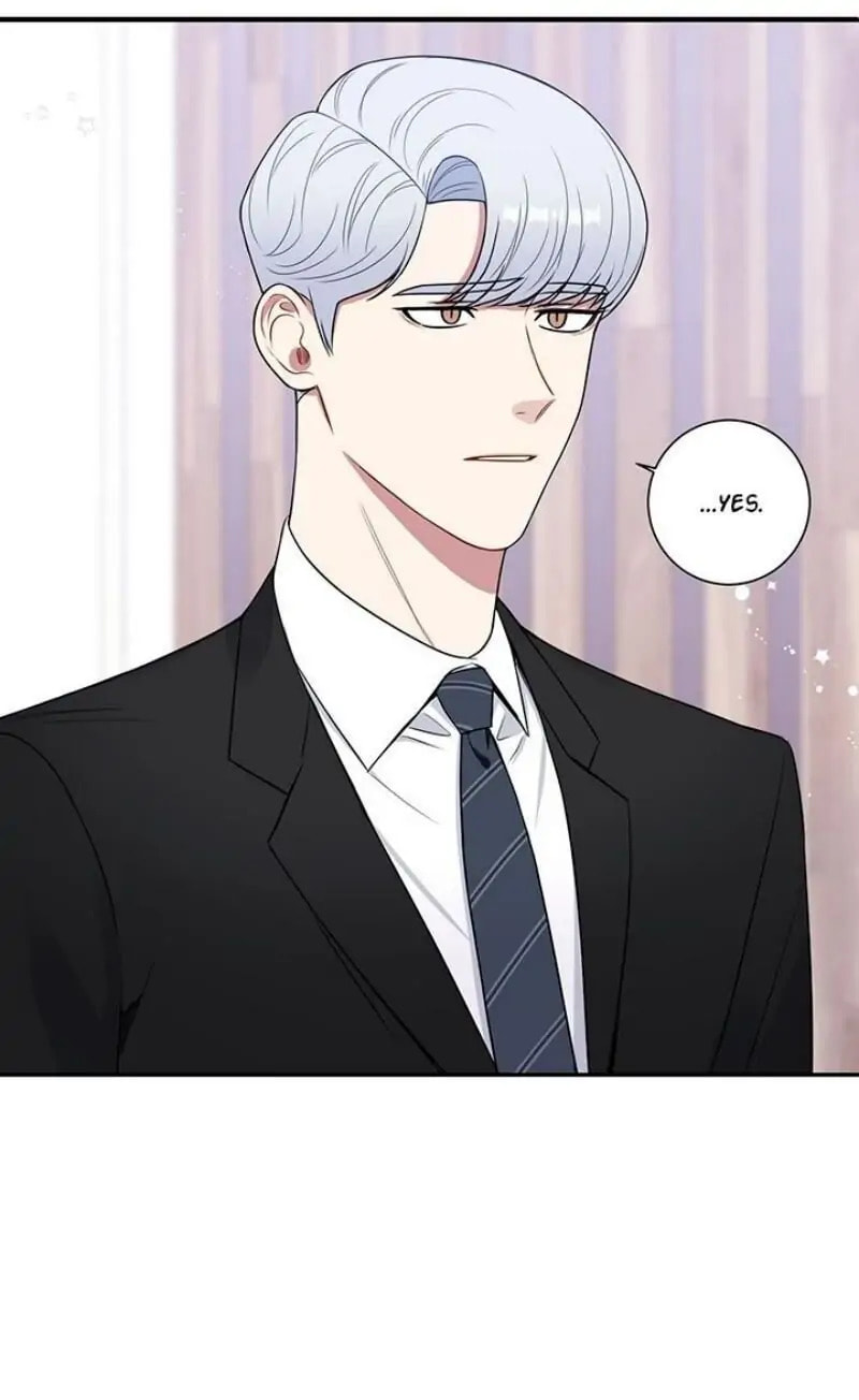Cherry Blossoms After Winter Chapter 163 page 21 - 