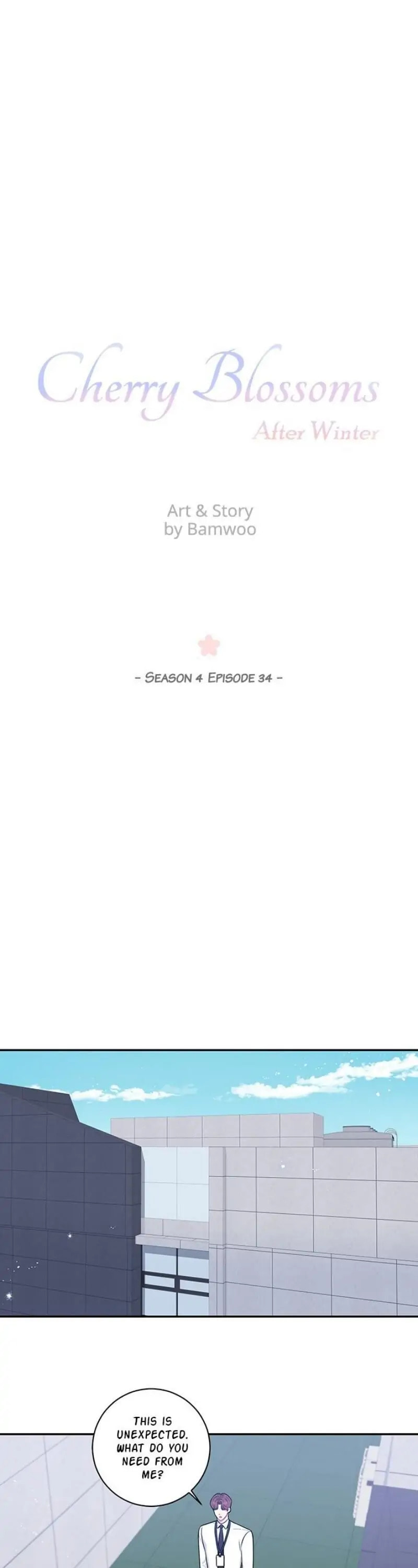 Cherry Blossoms After Winter Chapter 171 page 4 - 