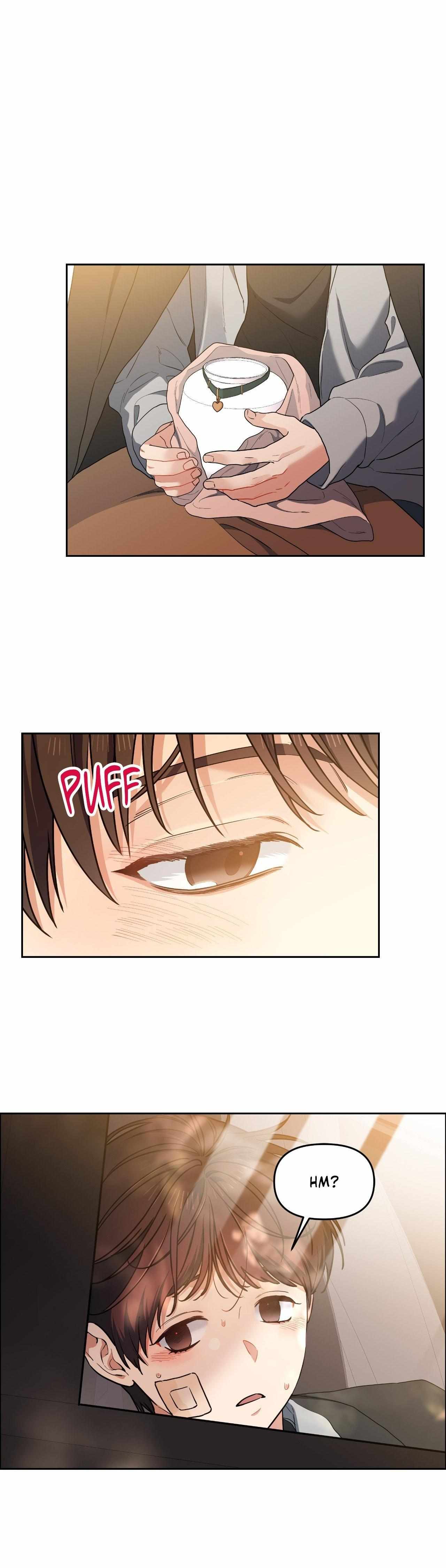 Cherry Cake Chapter 36 page 13 - 