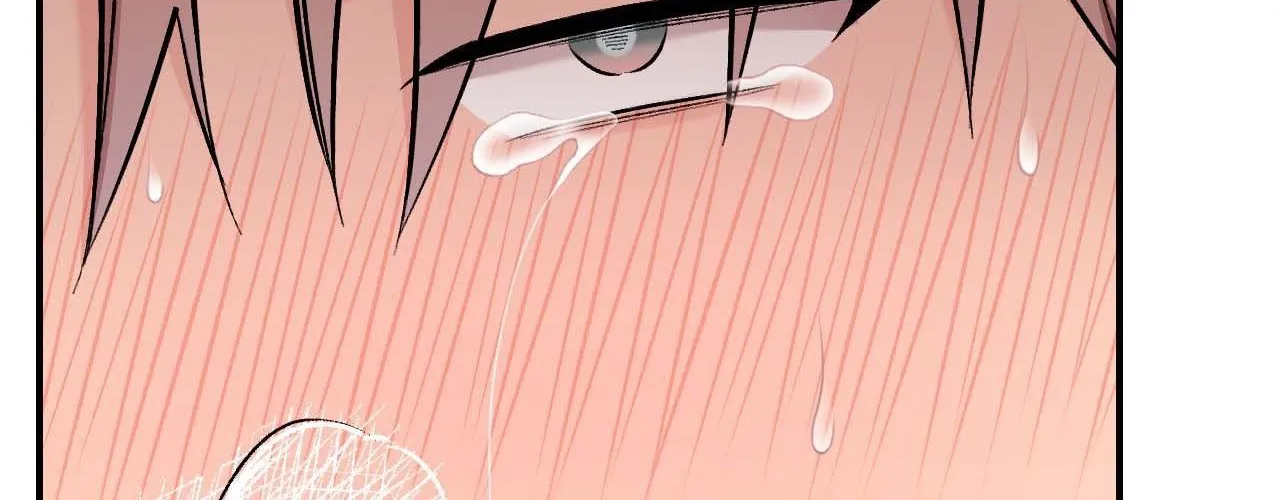 Cherry Complex Chapter 55 page 135 - 