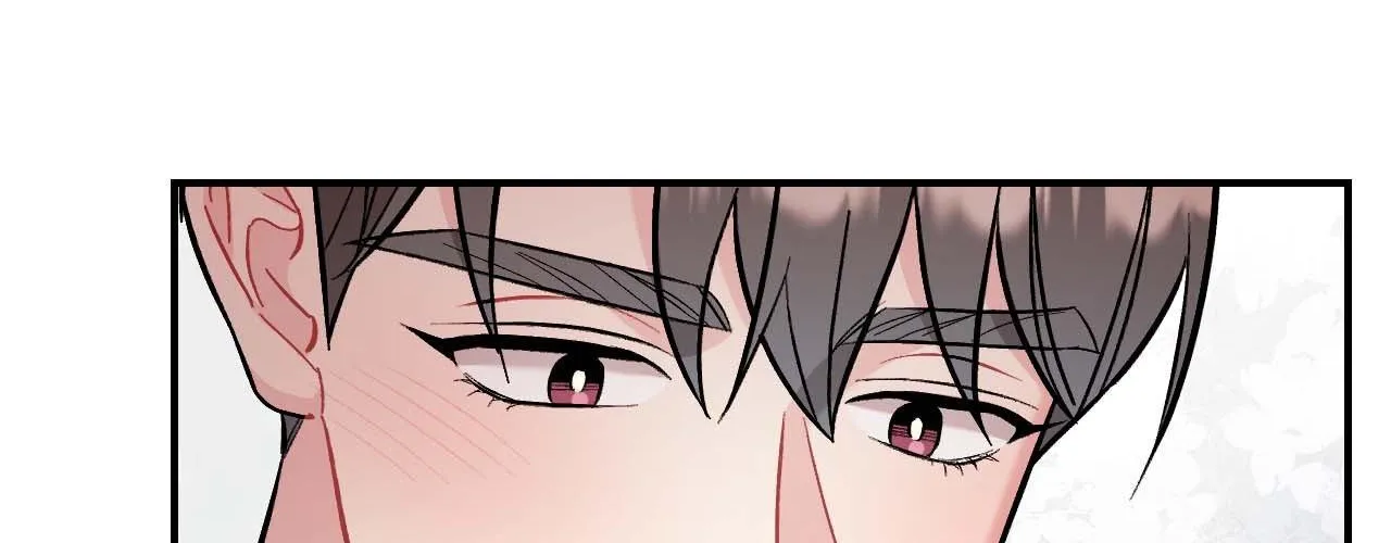 Cherry Complex Chapter 62 page 165 - 