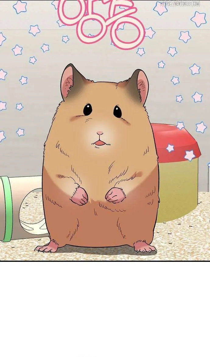 Childhood Friend Complex (Eunhi) Chapter 7 page 52 - 
