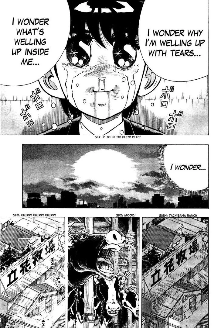 Chou Kakutou Densetsu Ashita Kagayake!! Chapter 2 page 19 - 