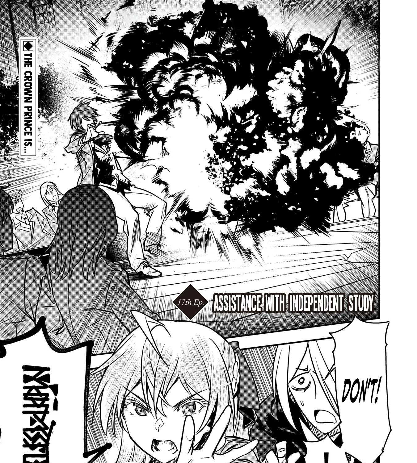 Chounin A wa Akuyaku Reijou wo Doushitemo Sukuitai Chapter 17 page 2 - 