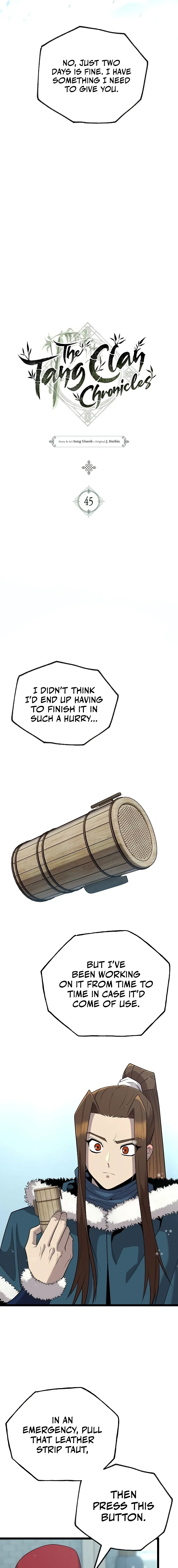 Chronicles of the Tang Sect Chapter 45 page 11 - 