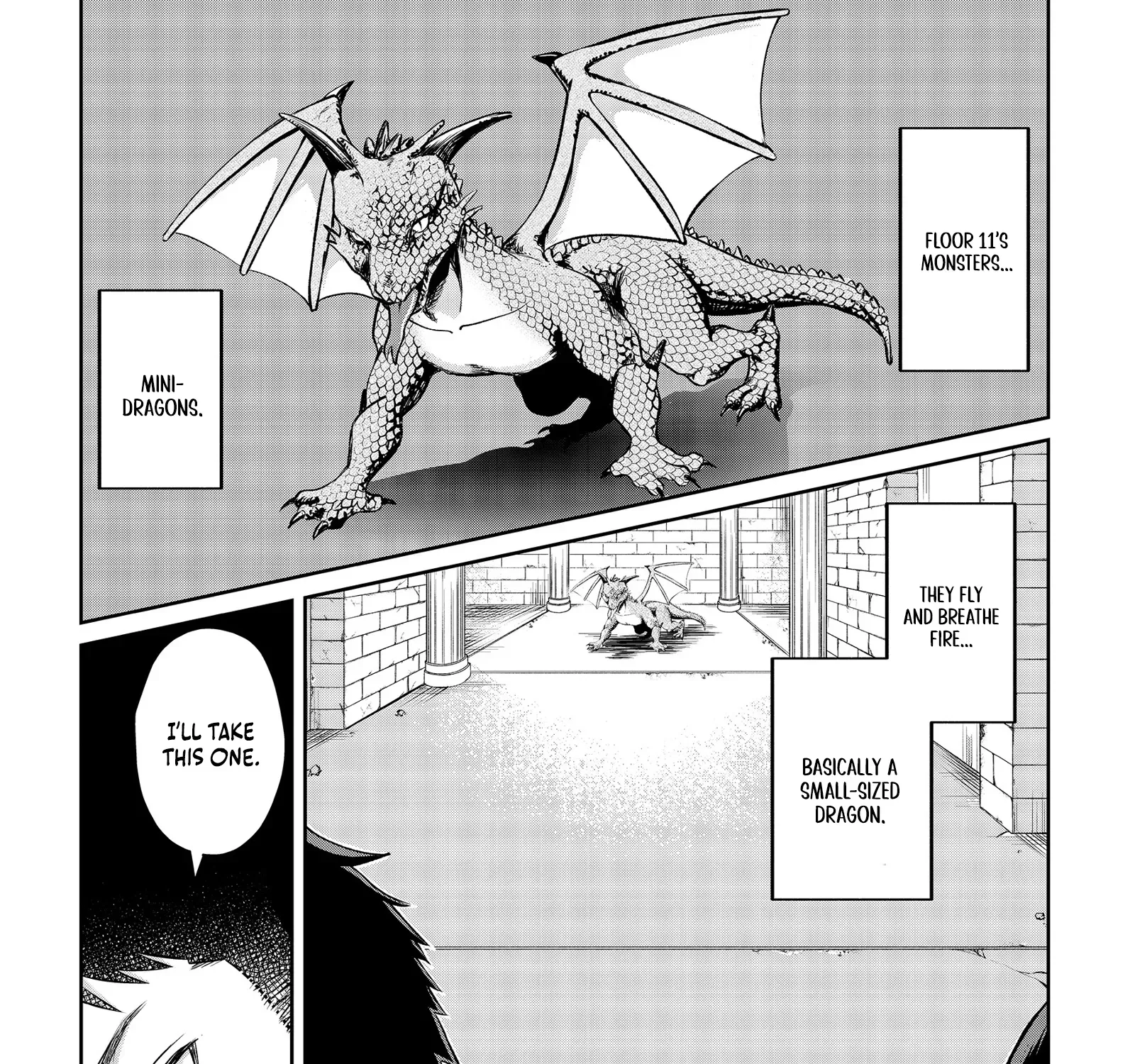 Chuunen Majutsushi no Yuuyuu Jiteki na Dungeon Kouryaku ~Skill Orb wo Tsukattara Saikyou Skill wo Teniireta no de, Suki ni Ikiyou to Omoimasu~ Chapter 12 page 14 - 