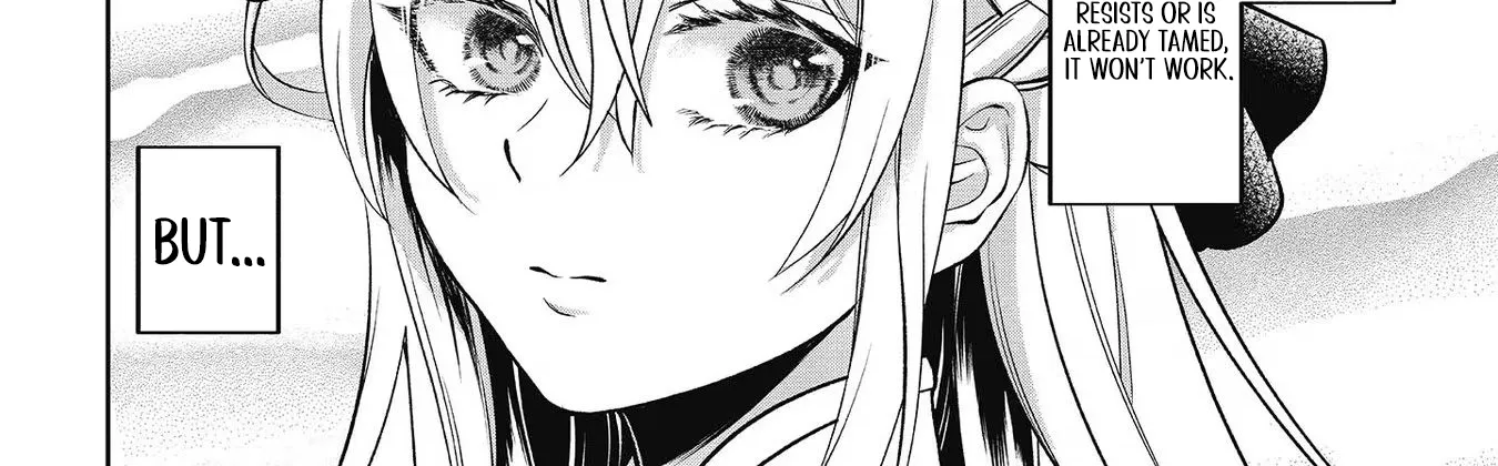 Chuunen Majutsushi no Yuuyuu Jiteki na Dungeon Kouryaku ~Skill Orb wo Tsukattara Saikyou Skill wo Teniireta no de, Suki ni Ikiyou to Omoimasu~ Chapter 6 page 12 - 