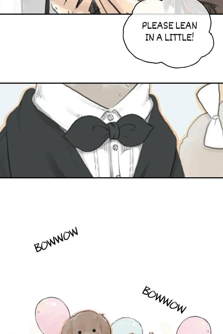 Cinderella at Midnight Chapter 16 page 4 - 