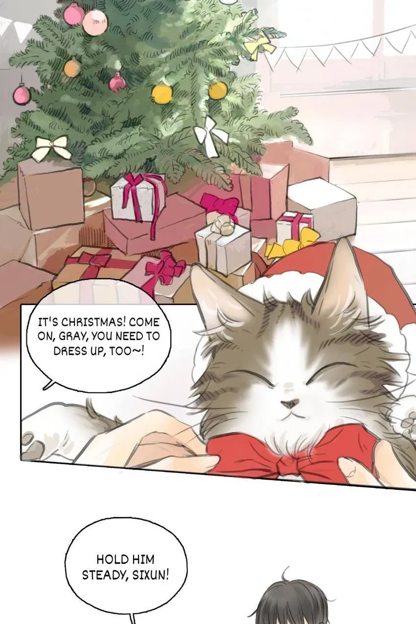 Cinderella at Midnight Chapter 25 page 2 - 