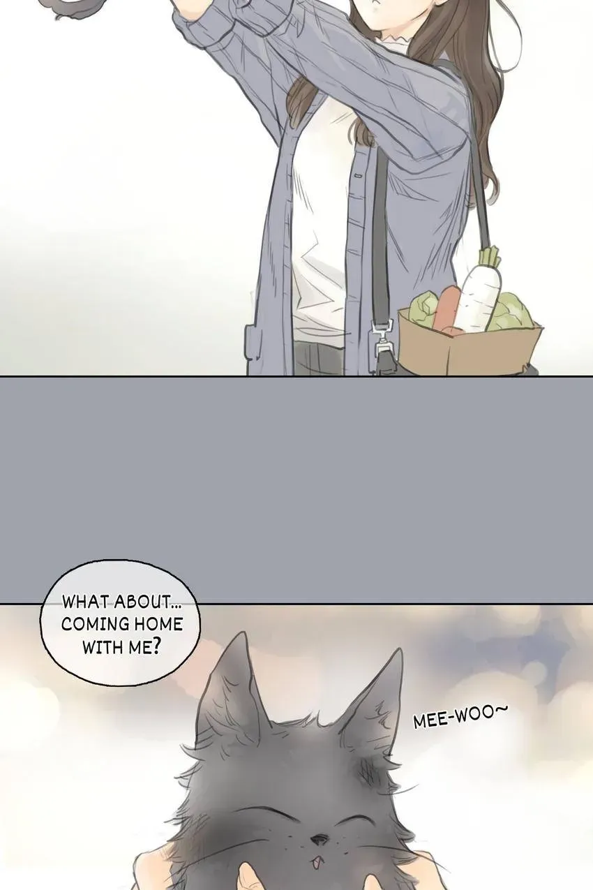 Cinderella at Midnight Chapter 25 page 11 - 