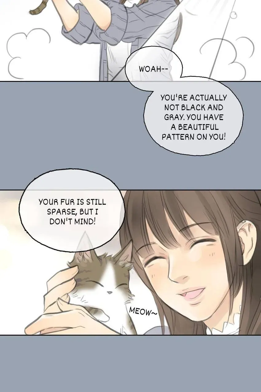 Cinderella at Midnight Chapter 25 page 15 - 