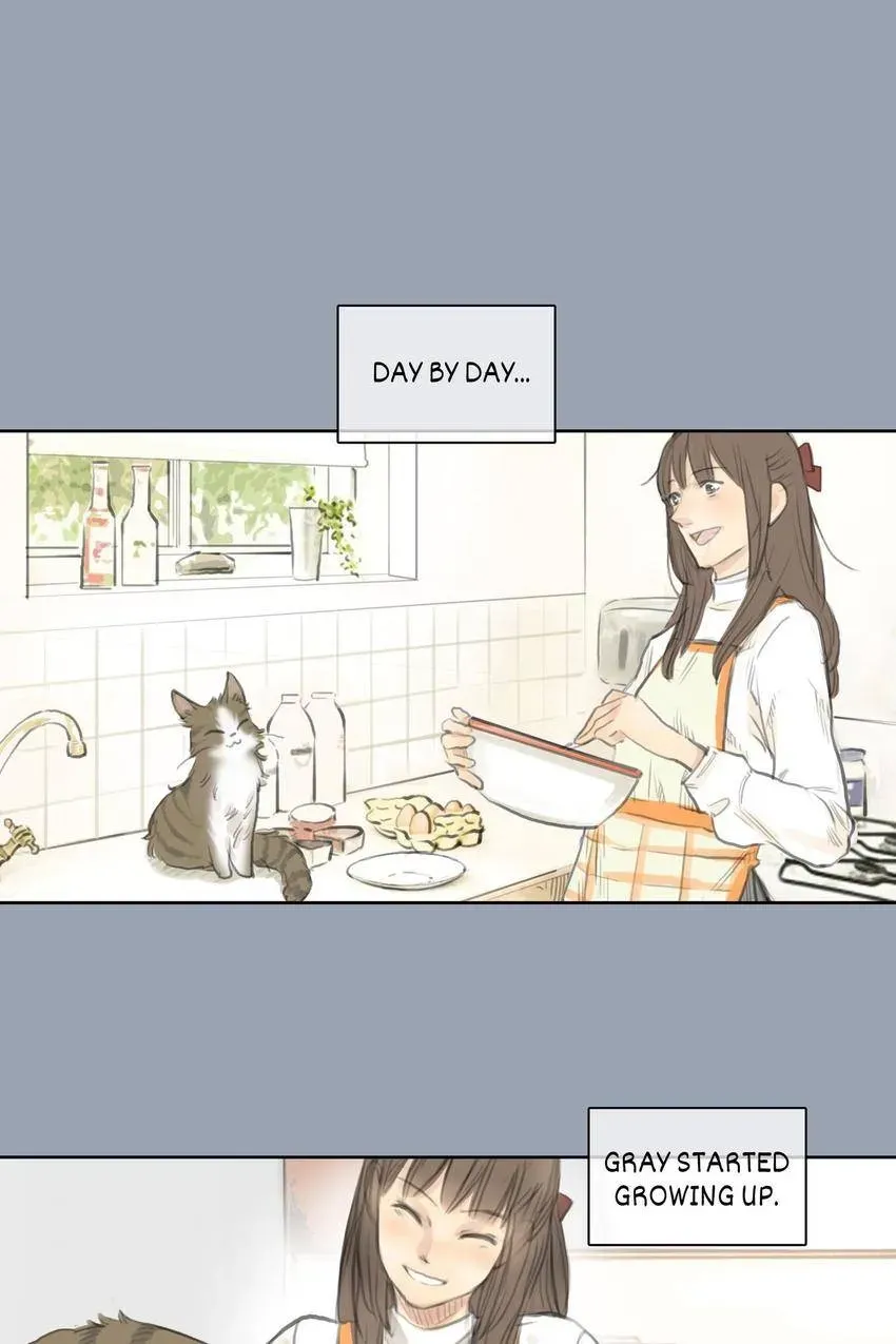 Cinderella at Midnight Chapter 25 page 16 - 