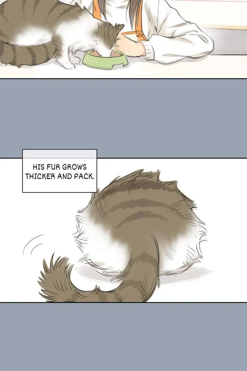 Cinderella at Midnight Chapter 25 page 17 - 