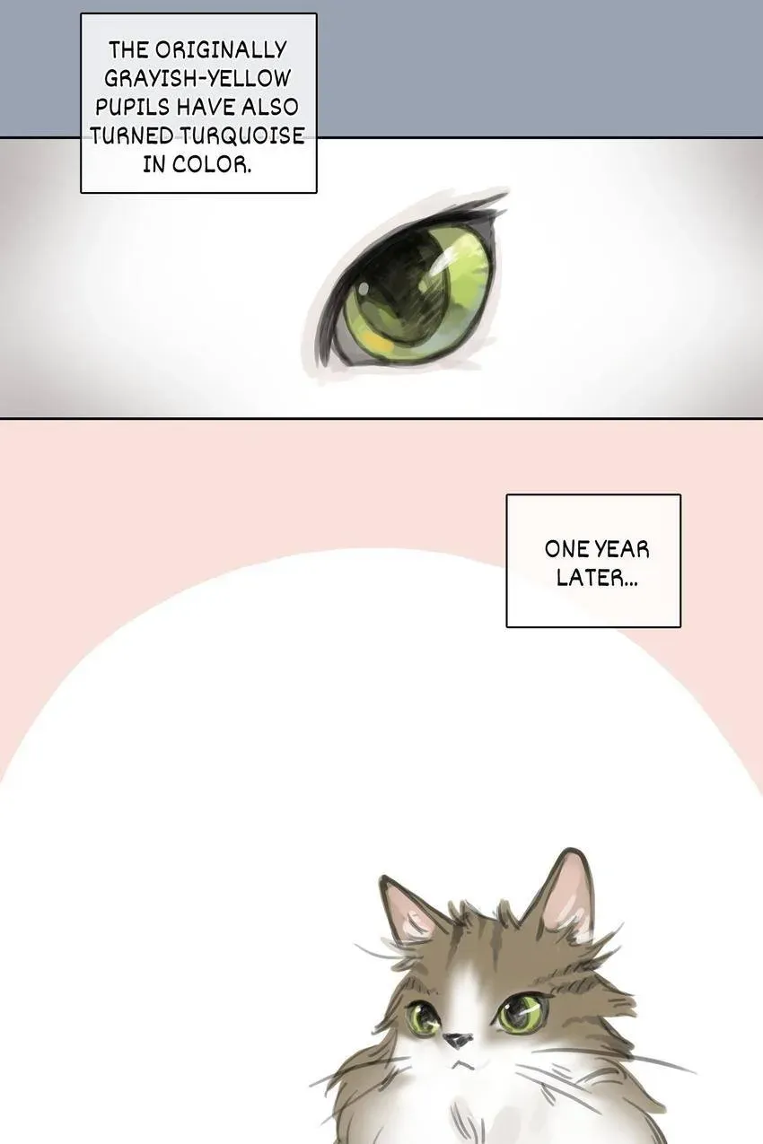 Cinderella at Midnight Chapter 25 page 19 - 