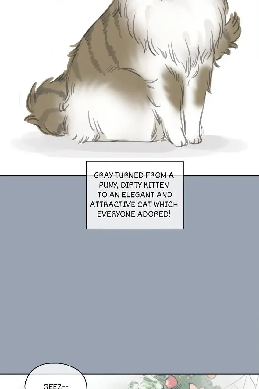 Cinderella at Midnight Chapter 25 page 20 - 