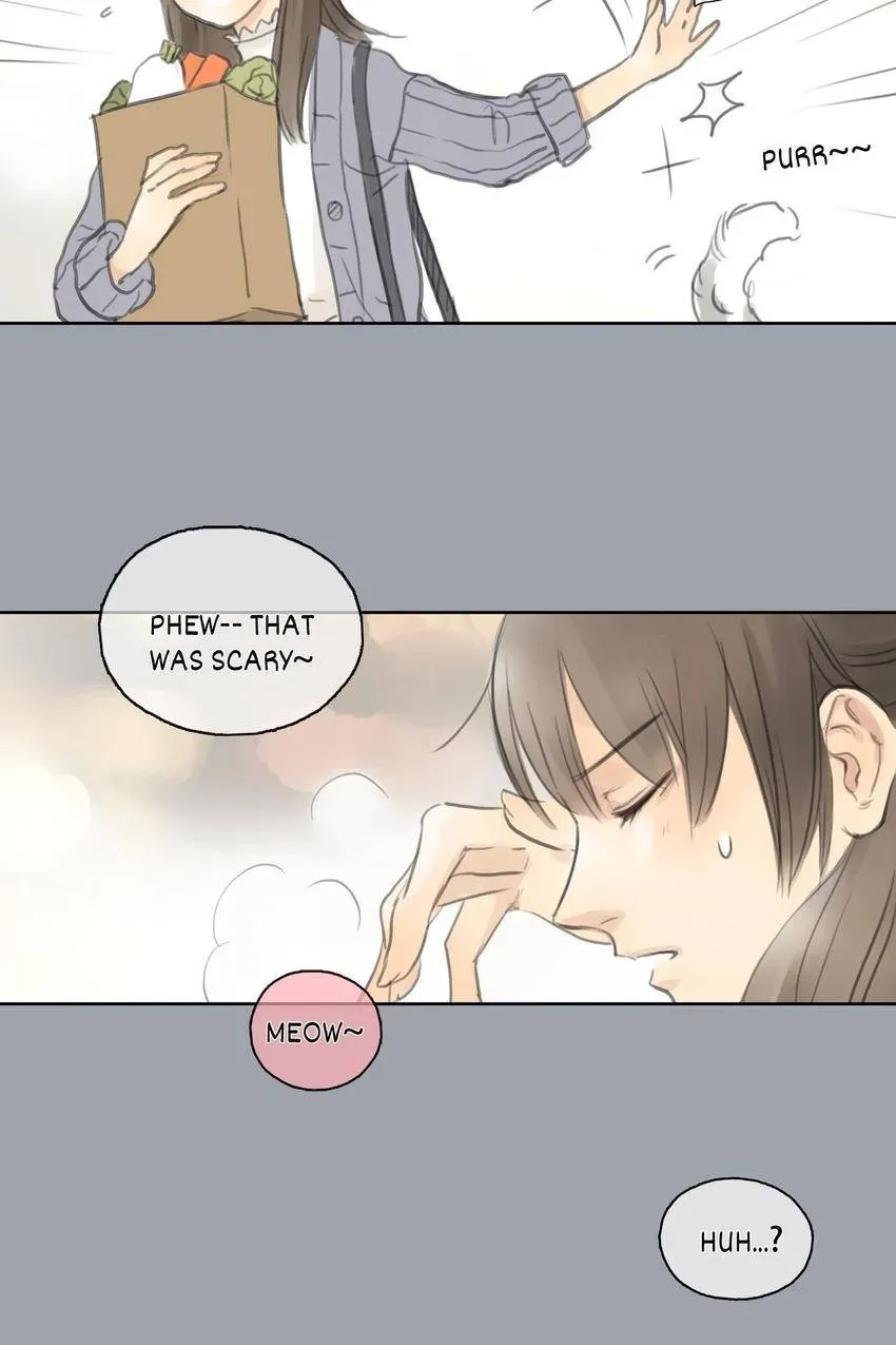 Cinderella at Midnight Chapter 25 page 8 - 