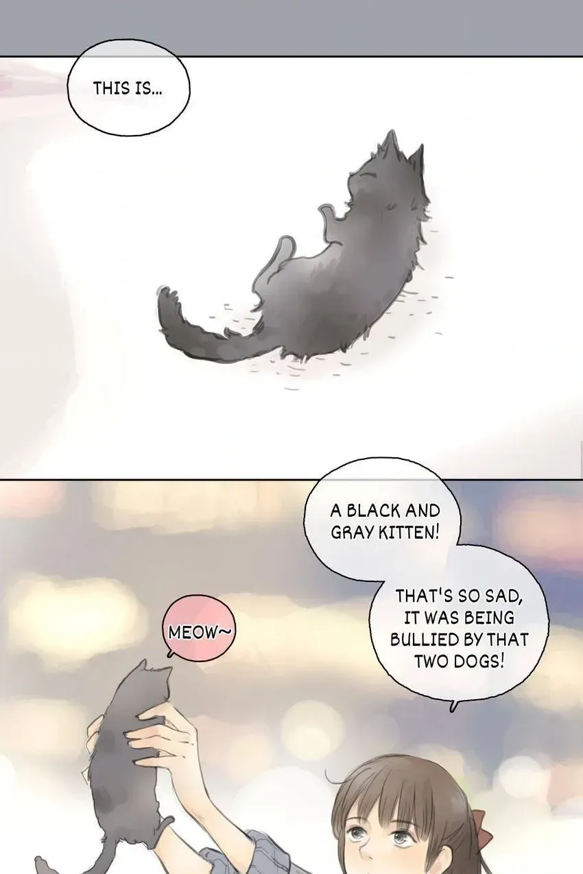 Cinderella at Midnight Chapter 25 page 10 - 