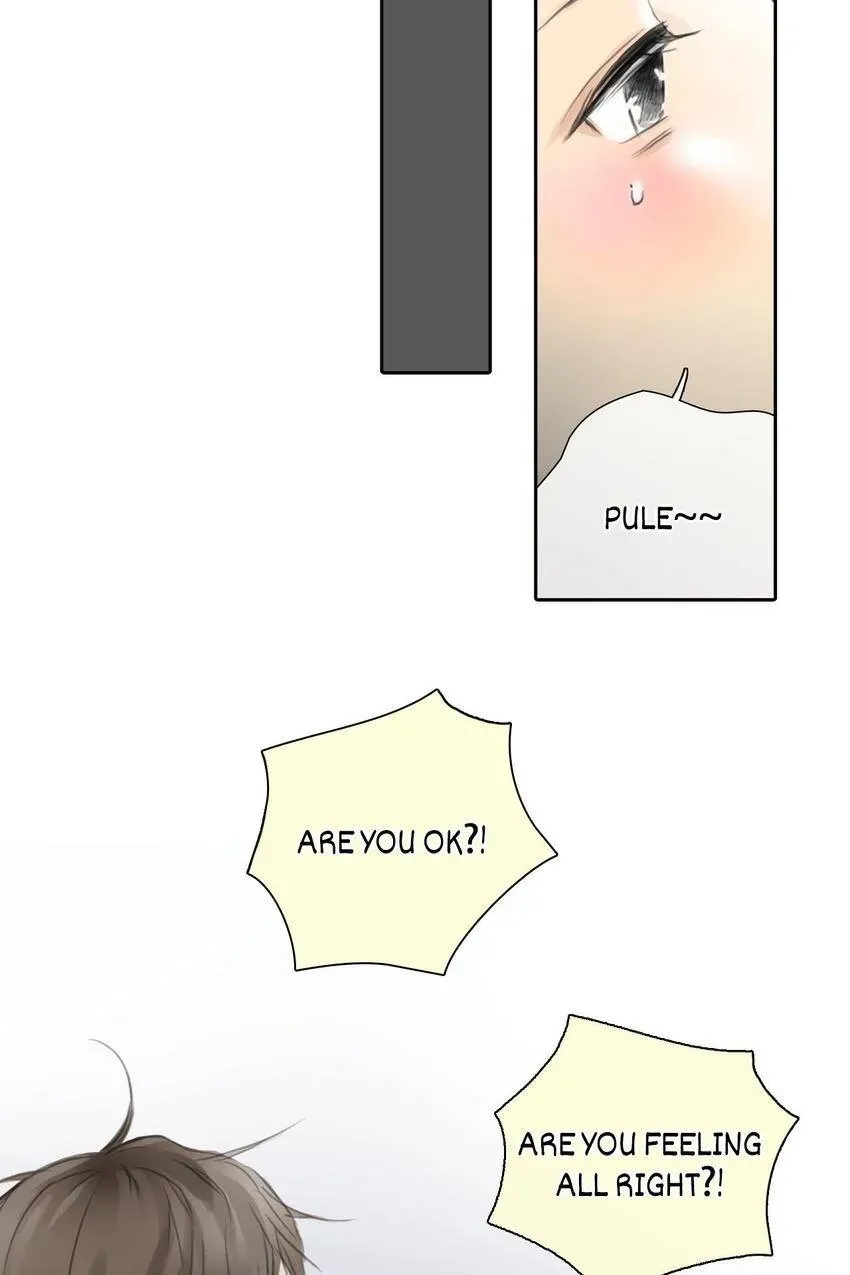 Cinderella at Midnight Chapter 44 page 31 - 