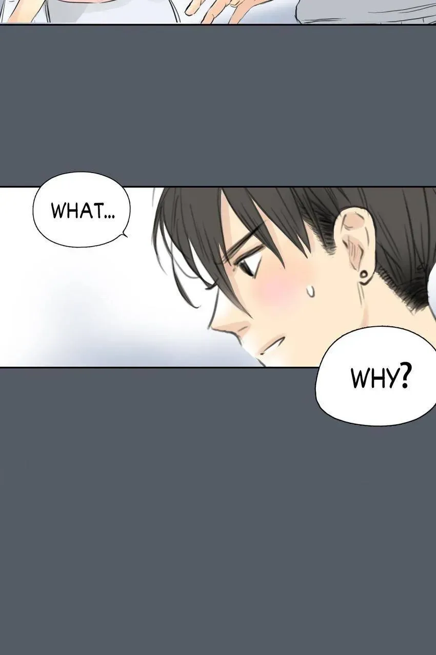 Cinderella at Midnight Chapter 50 page 2 - 