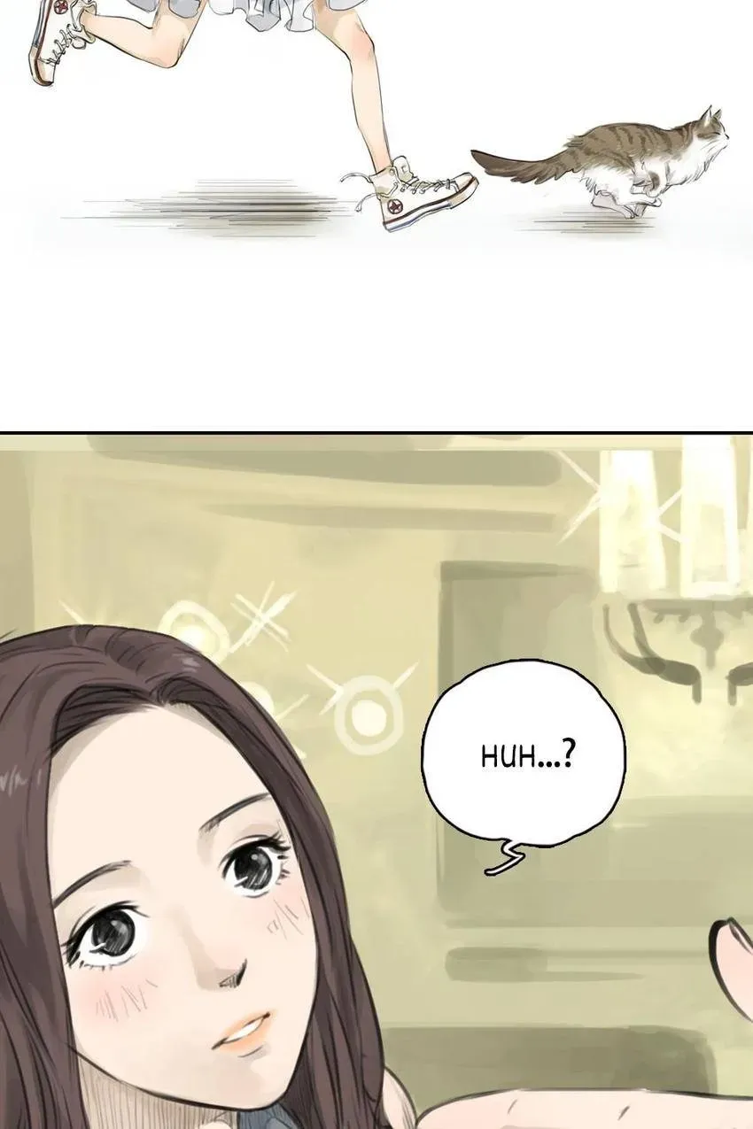 Cinderella at Midnight Chapter 8 page 5 - 
