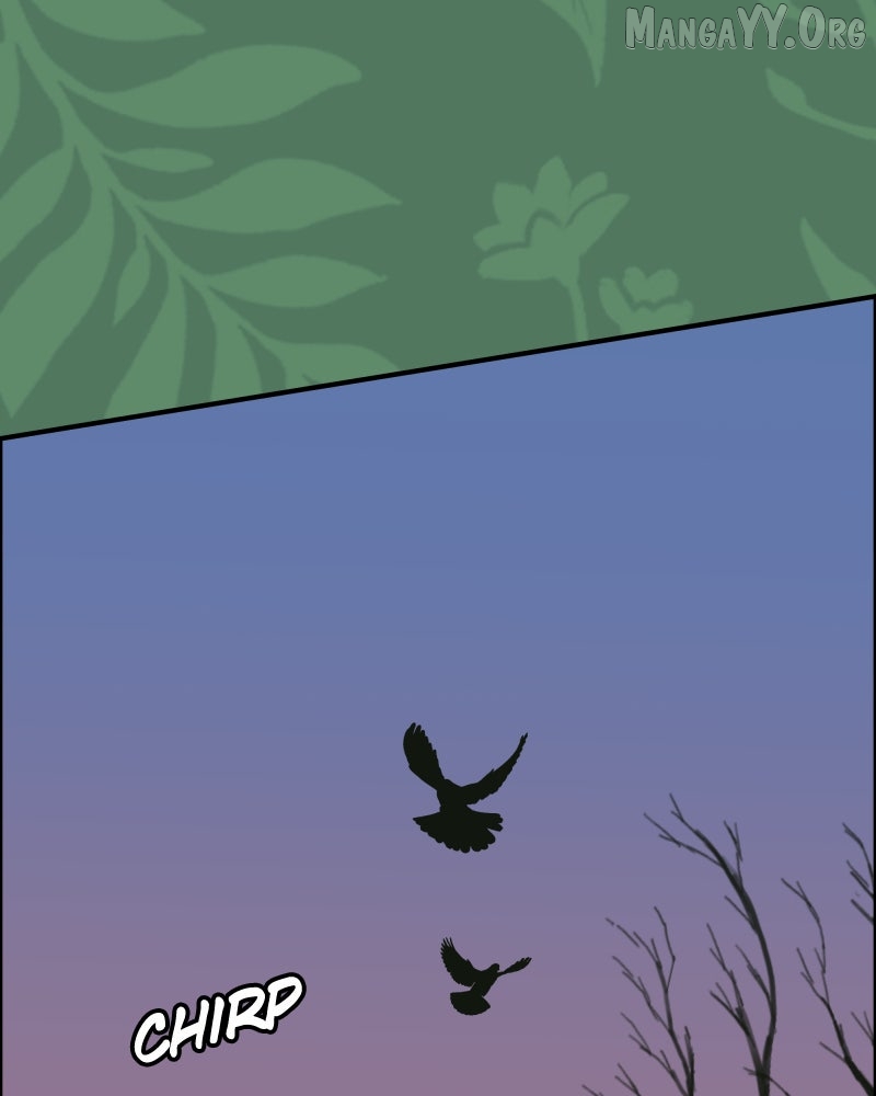 Cinderella Boy Chapter 101 page 155 - 