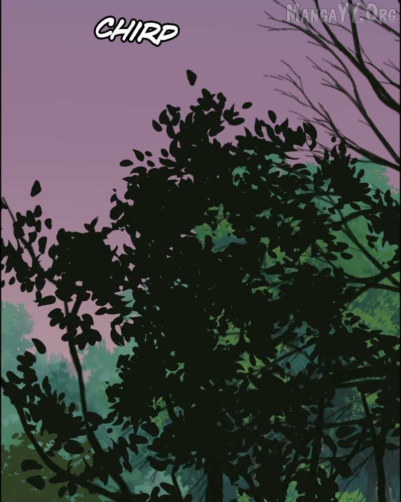 Cinderella Boy Chapter 101 page 156 - 