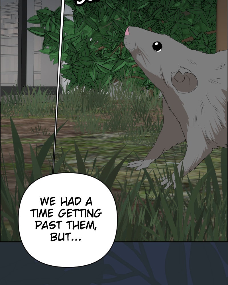 Cinderella Boy (S2) Ep. 54 - No Good Deed (III) page 176 - 