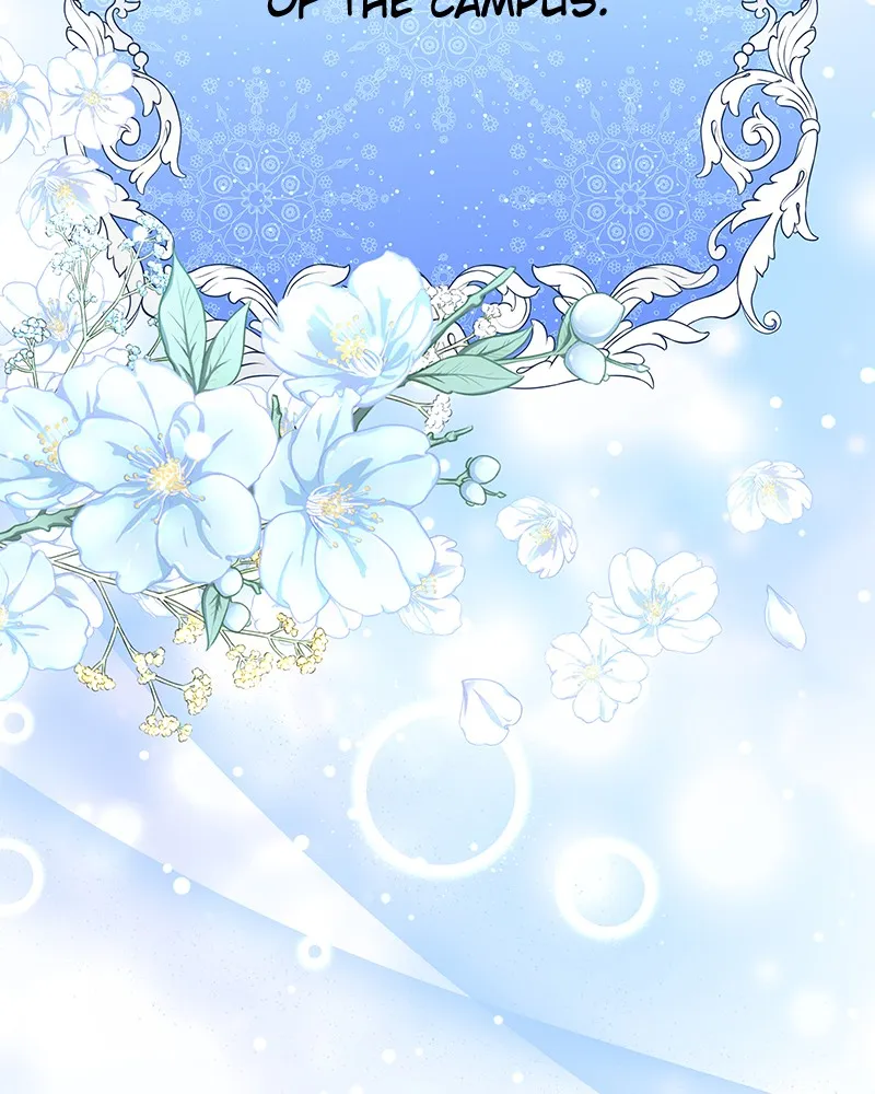 Cinderella Boy Chapter 62 page 17 - 