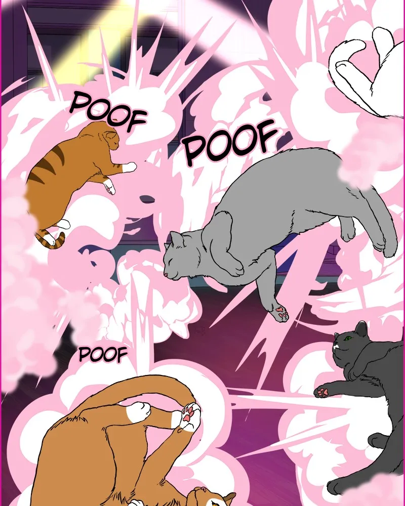 Cinderella Boy Chapter 73 page 154 - 