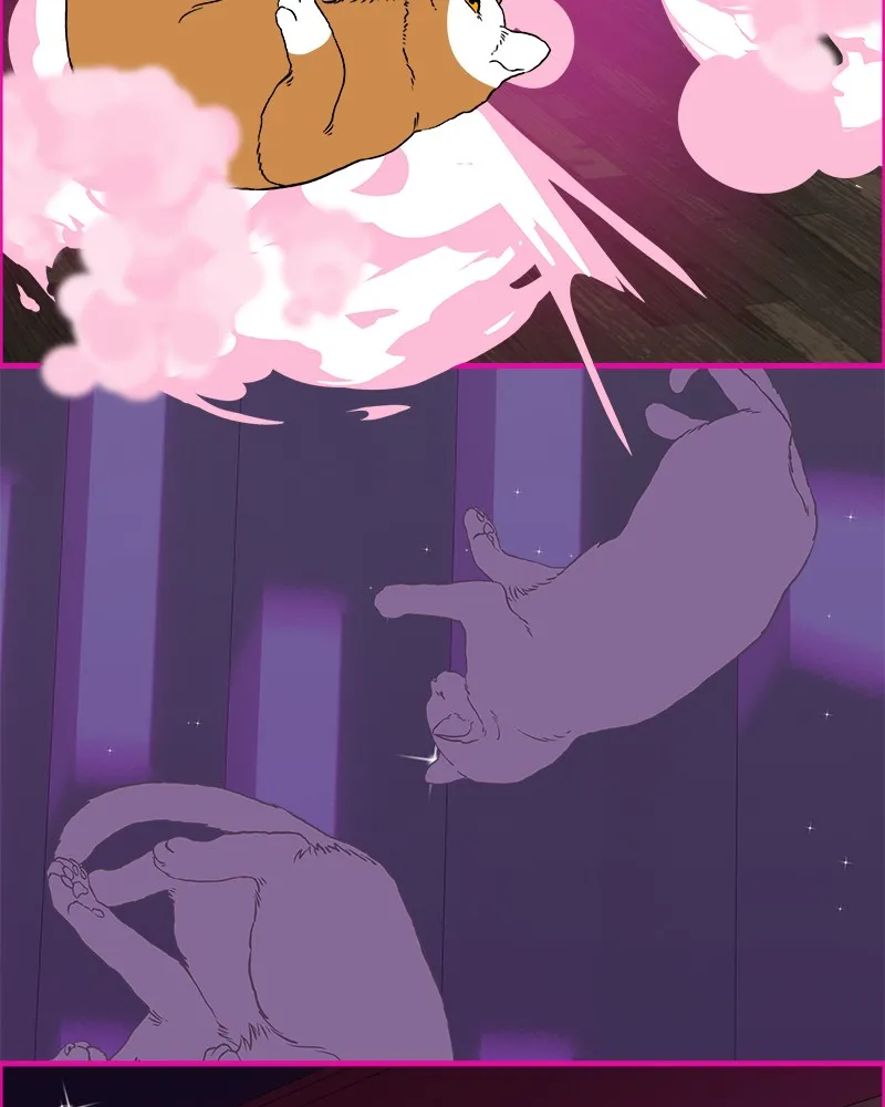 Cinderella Boy Chapter 73 page 155 - 