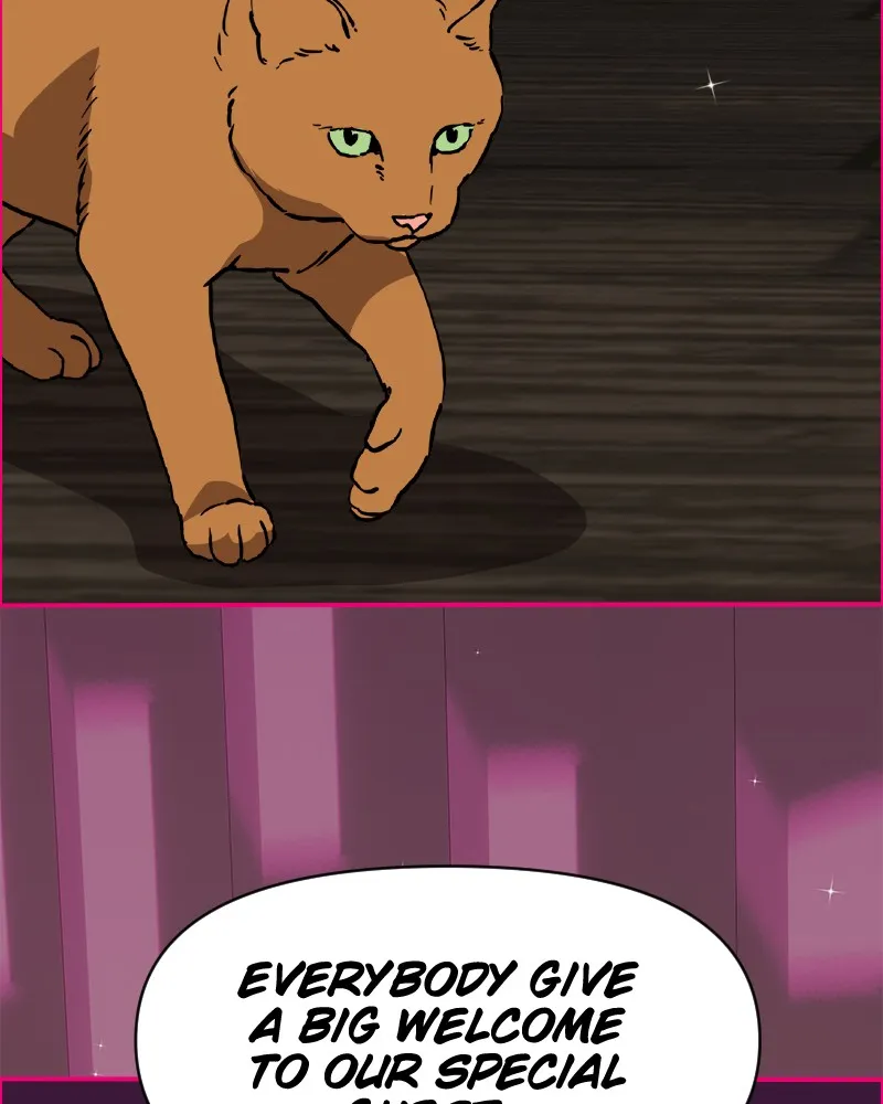 Cinderella Boy Chapter 73 page 159 - 