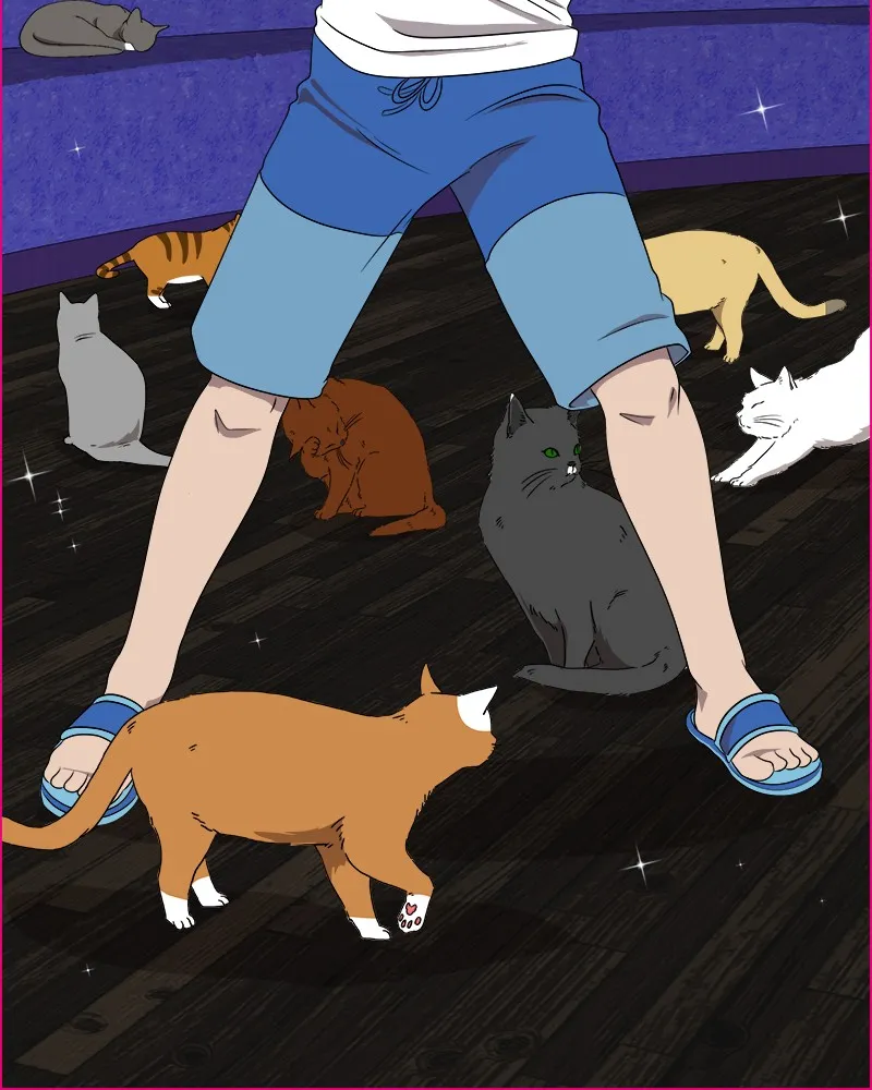 Cinderella Boy Chapter 73 page 164 - 
