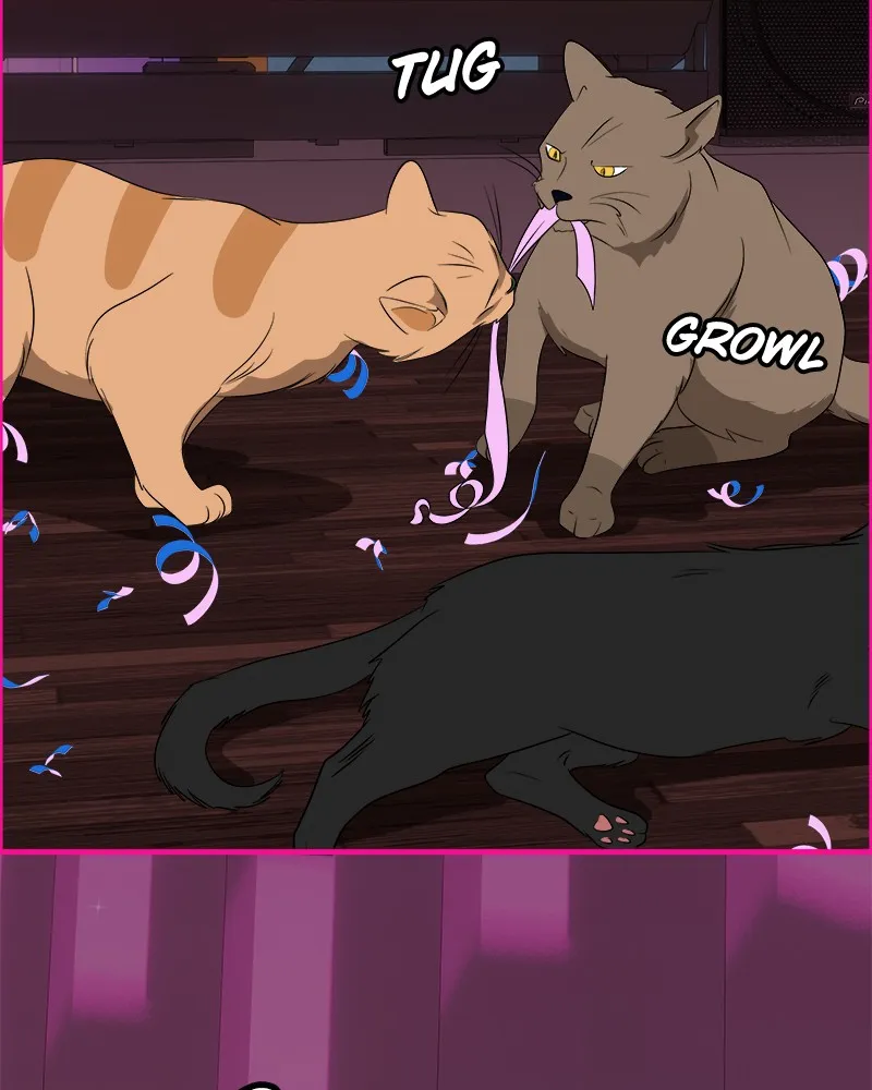 Cinderella Boy Chapter 74 page 68 - 