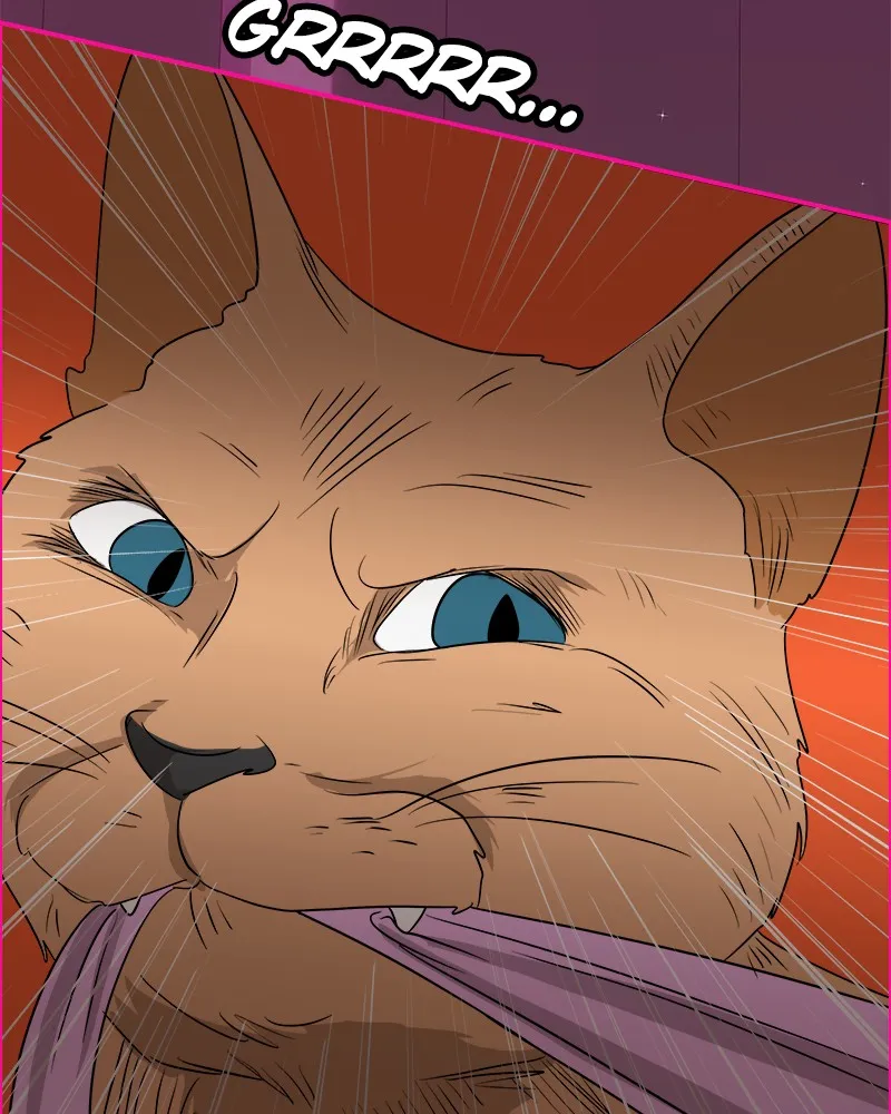 Cinderella Boy Chapter 74 page 69 - 