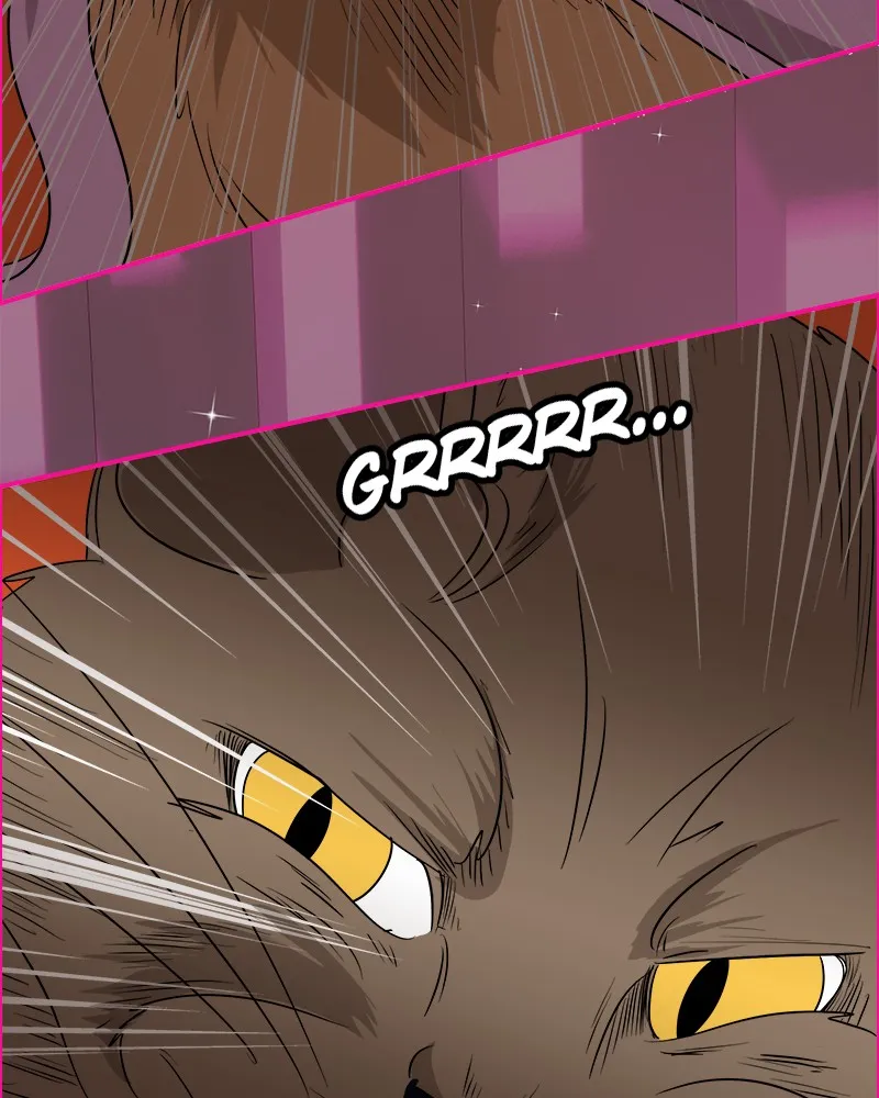 Cinderella Boy Chapter 74 page 70 - 