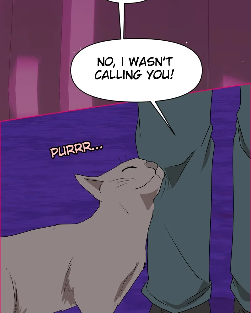 Cinderella Boy Chapter 75 page 73 - 