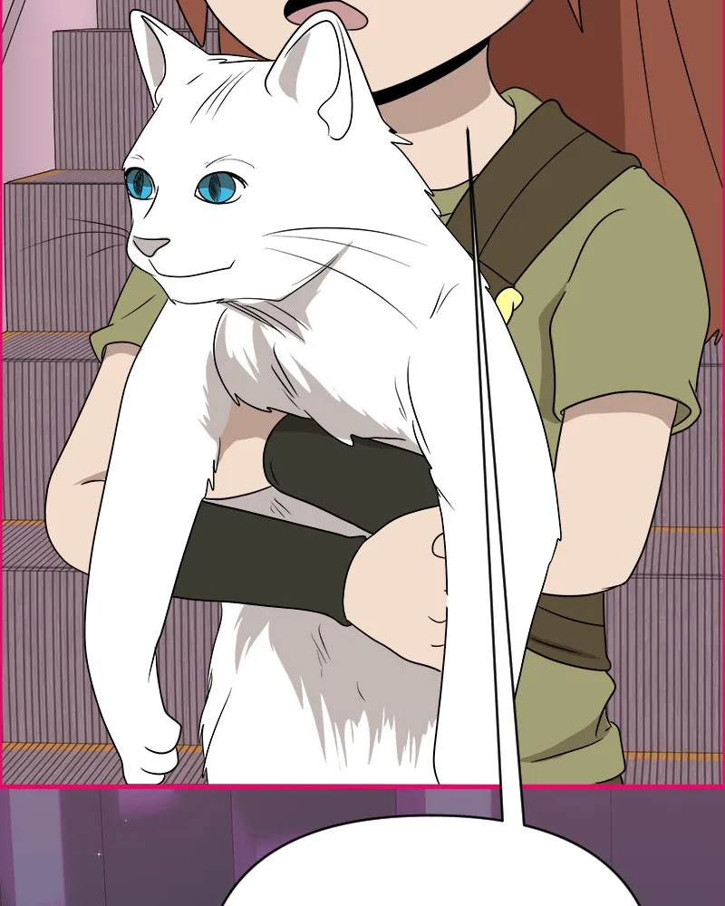 Cinderella Boy Chapter 75 page 87 - 