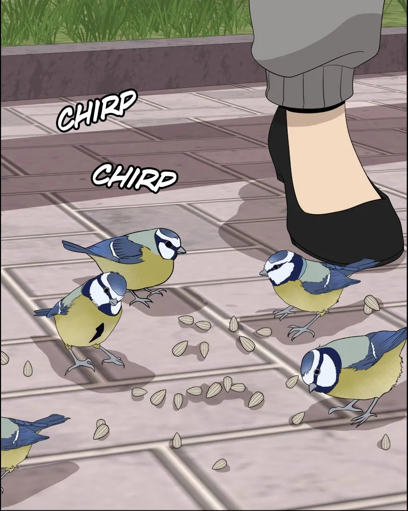 Cinderella Boy Chapter 78 page 19 - 