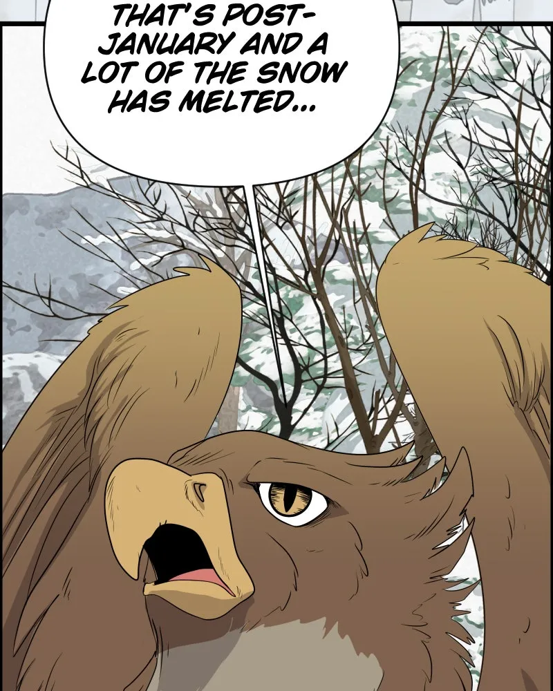 Cinderella Boy Chapter 79 page 12 - 