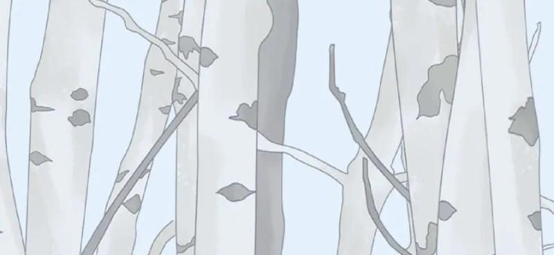 Cinderella Boy Chapter 79 page 17 - 